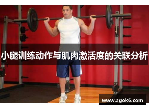 小腿训练动作与肌肉激活度的关联分析